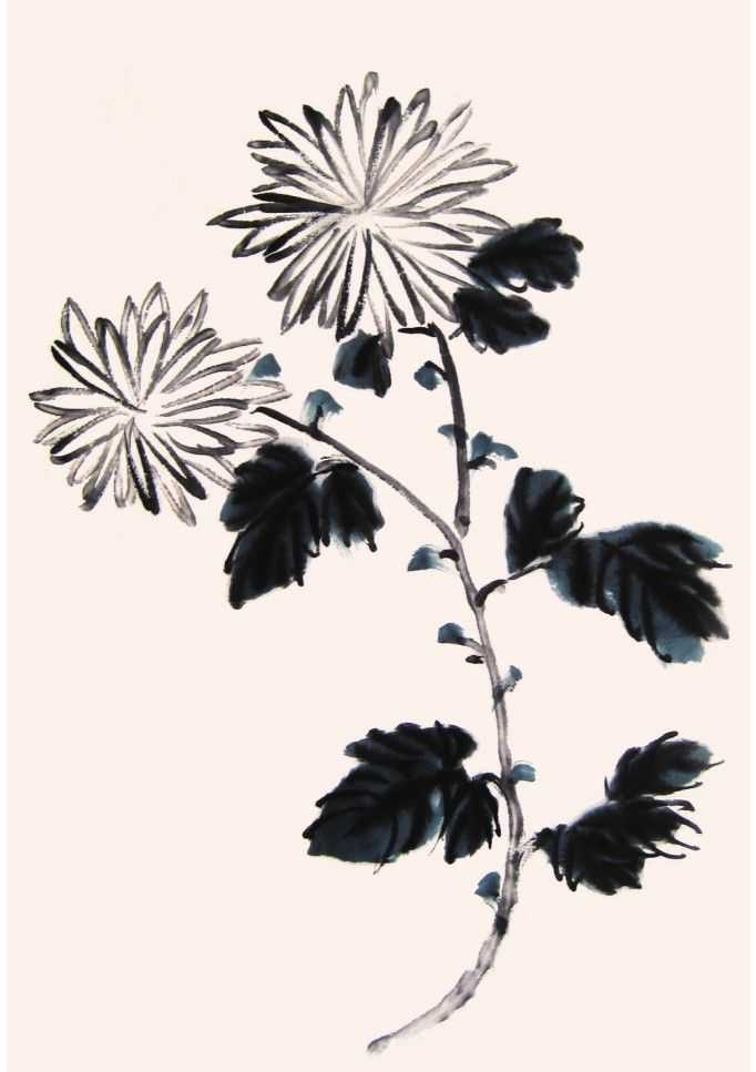 国画知识：不会画菊花？教你5种菊花画法，简单易学，快来临摹吧