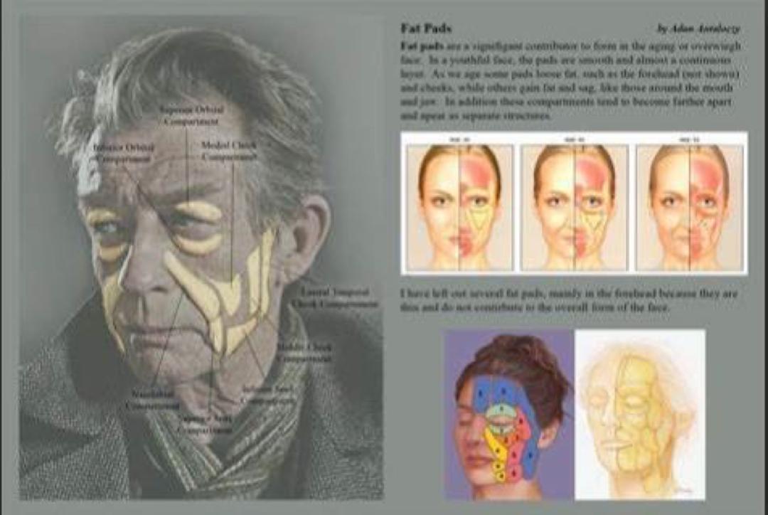 自体脂肪填充能去掉法令纹吗,去掉法令纹用什么护肤品好