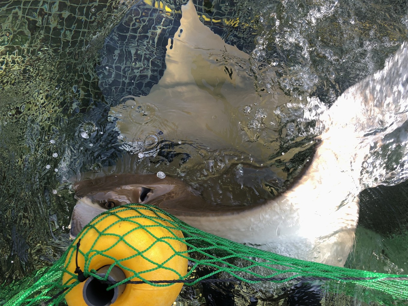 圣淘沙名胜世界攻略,请收下这份旅游攻略