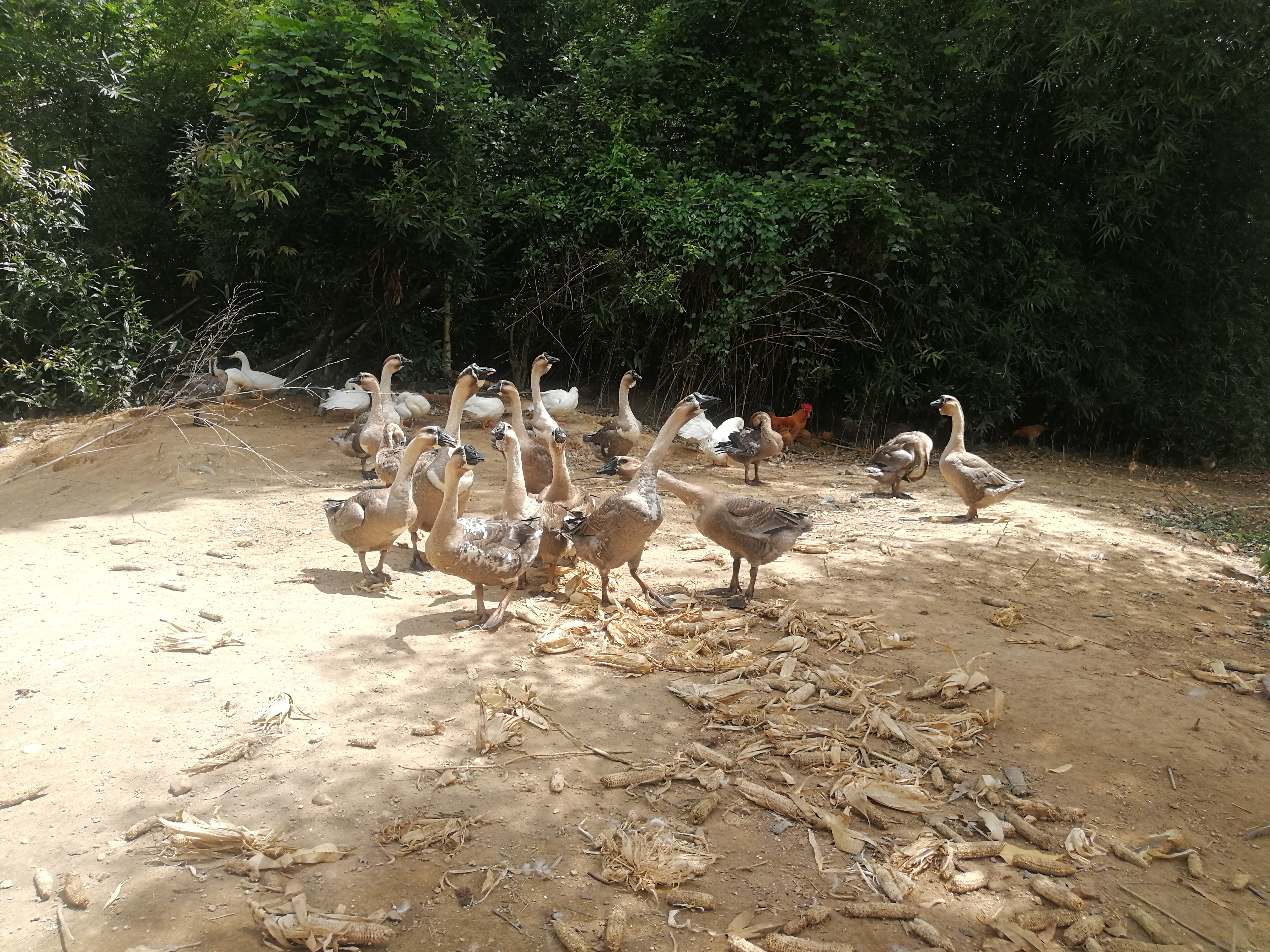 怎样起名字10个字开头,怎么起七个字的名字