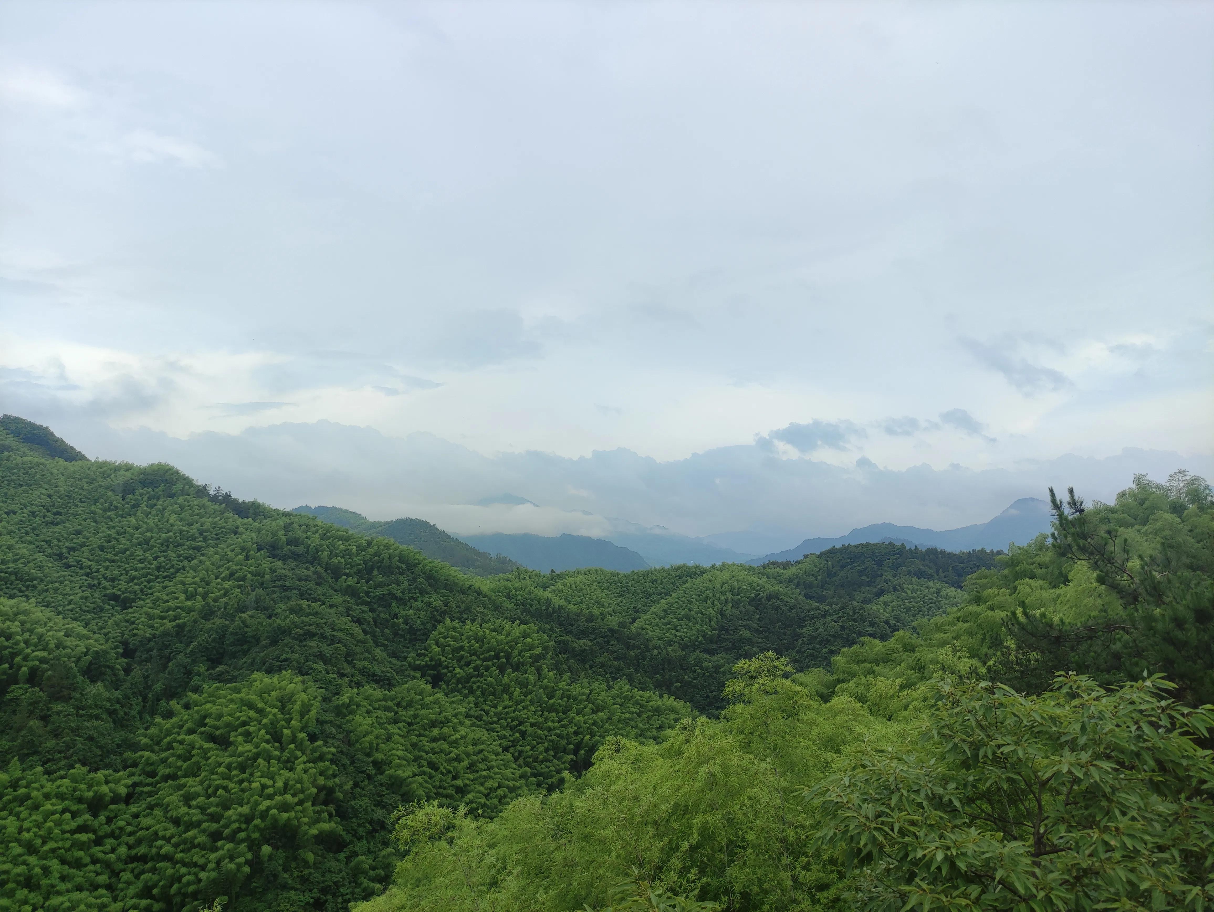 给大家展示一下什么叫做“金山药岭名茶地，竹海栗园水电乡”