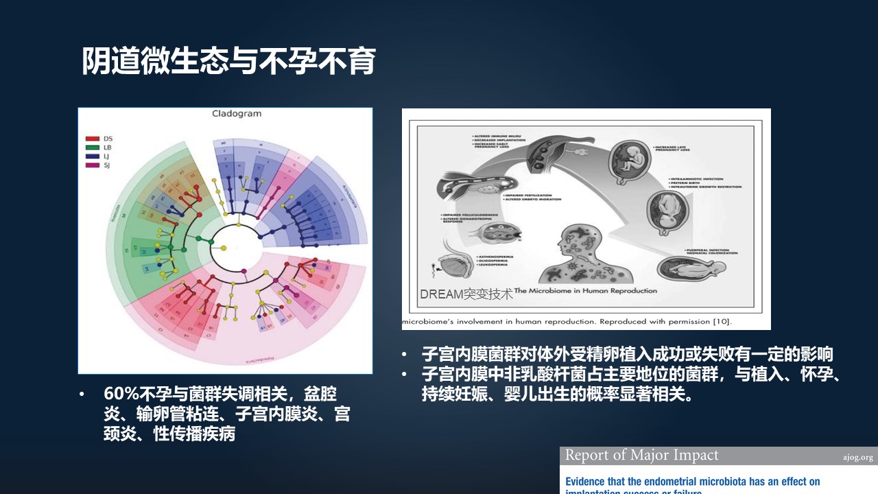 肖冰冰的小视频,肖冰冰讲的12生肖