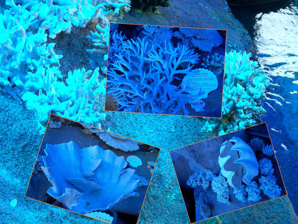 夏季的三亚美丽又浪漫,三亚北纬十八度天涯海角