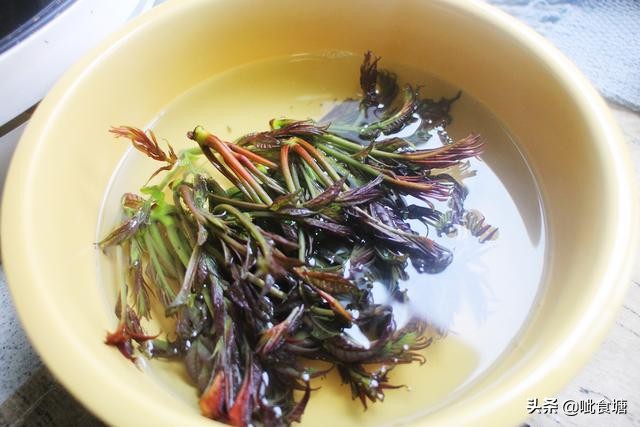 香椿炒鸡蛋正确做法先别着急下锅,香椿炒鸡蛋简单易学你会了吗