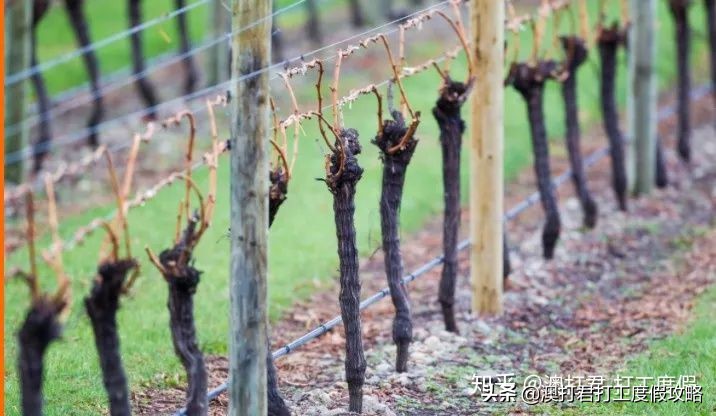 十大最累最赚钱的工作,哪些比较赚钱的工作可以在家做