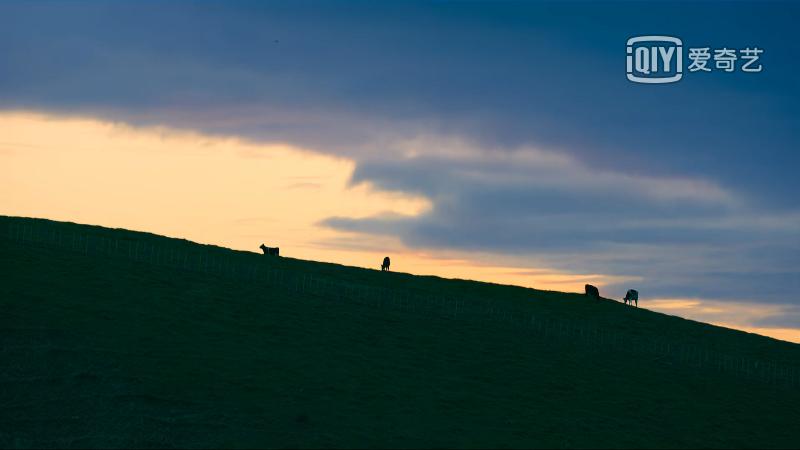 9部日本治愈系纯爱电影推荐,一部让你感动落泪的纯爱电影