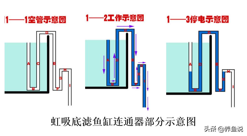 底滤鱼缸最合理设计,底滤鱼缸最强滤材摆放