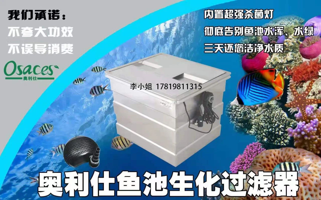 养锦鲤用过滤桶过滤系统,锦鲤鱼池沼泽过滤与生物过滤