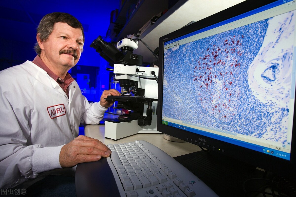 刻在基因上的禁令知乎,刻在基因上的禁令