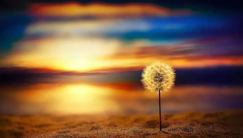 道德经朗诵天长地久第七章,道德经天长地久篇