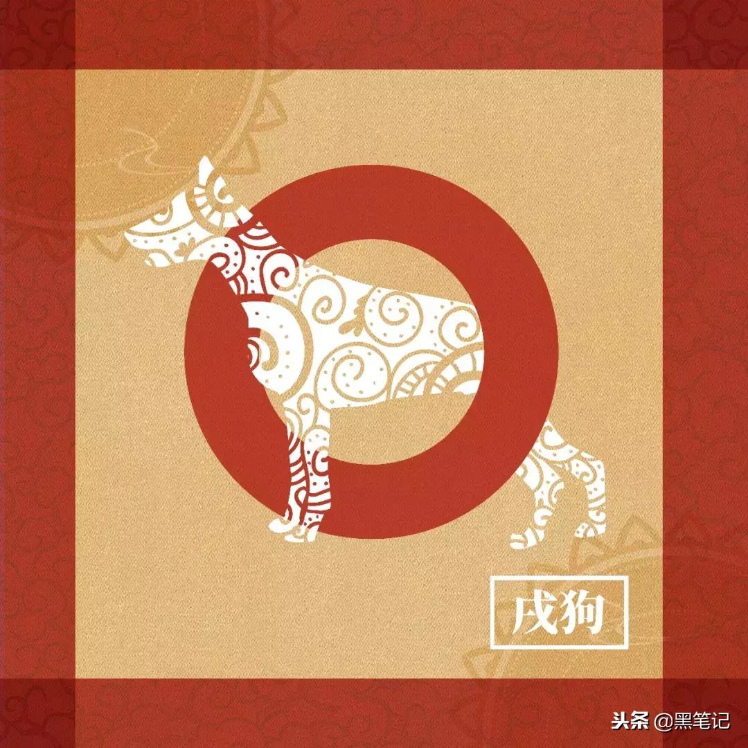 十二生肖2019年运势大全下,十二生肖运势2019年10月23日运程