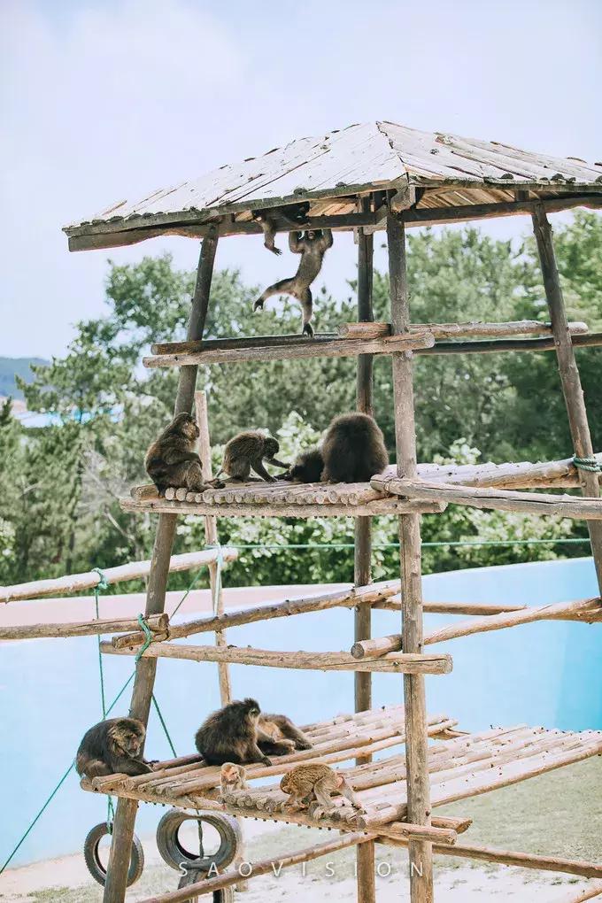 一生必去的中国50个最美原图,一生必去40个中国最美地方