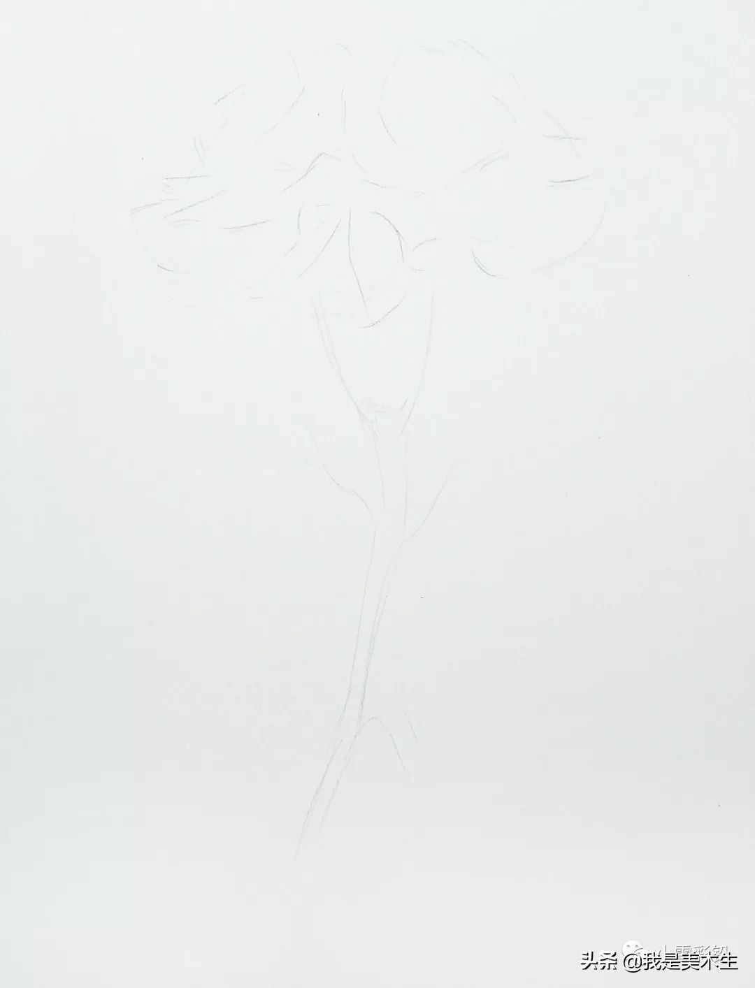 怎么画一束美丽的彩铅康乃馨,怎么用彩铅给纸做康乃馨上色