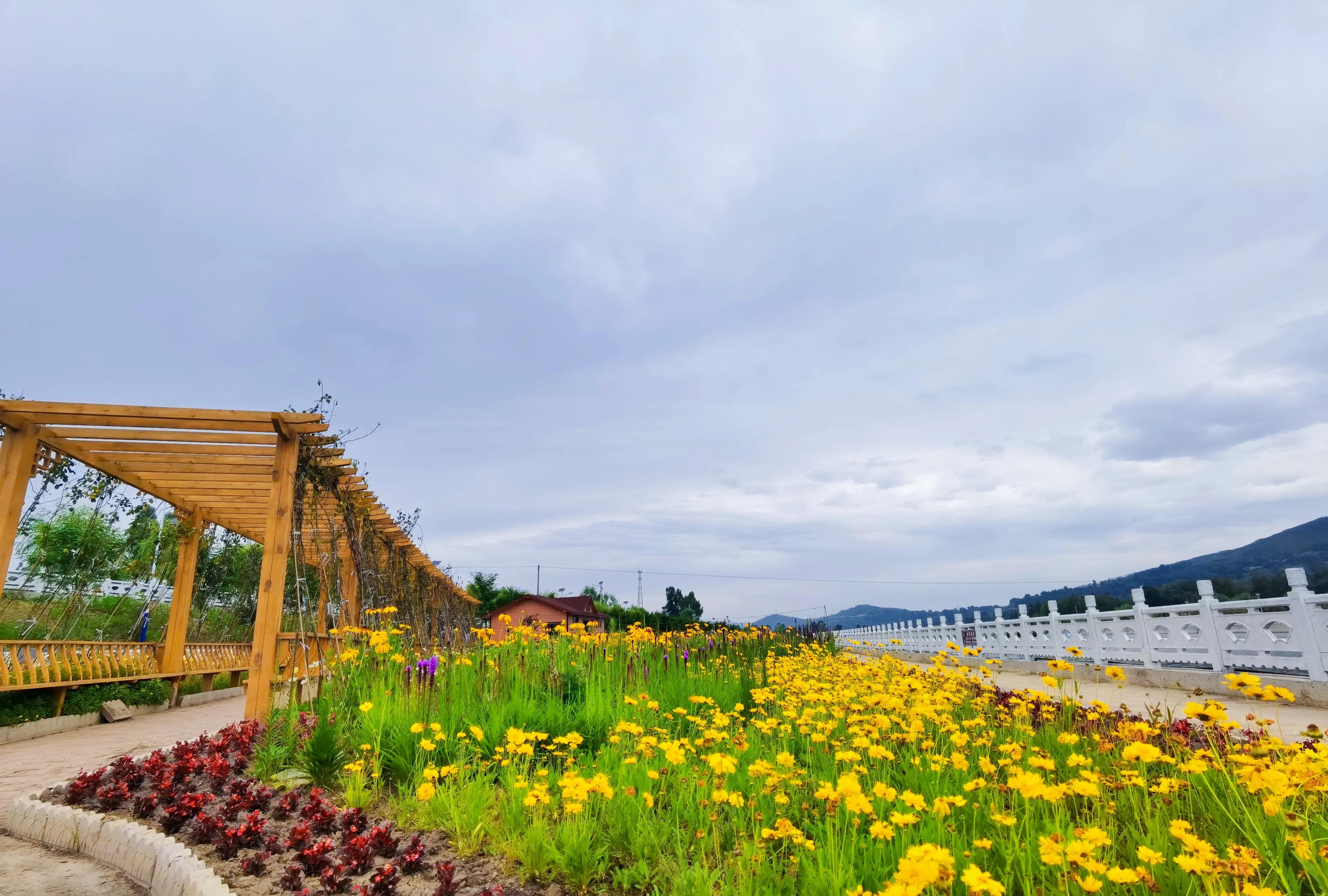 讲好家乡故事助力乡村振兴,讲好乡村振兴故事由哪个部门负责