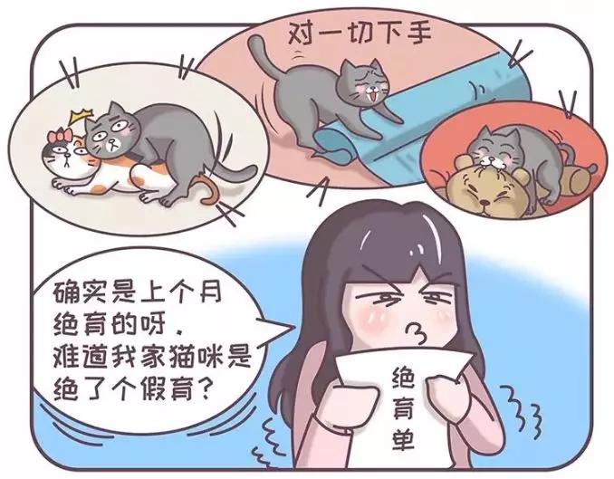 明明是已经绝育的公猫,明明绝育了猫咪为什么还叫