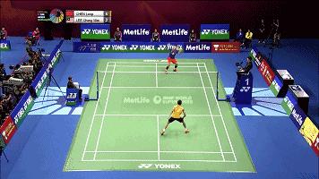 羽毛球基础知识入门,一起学习羽毛球入门超强干货教程