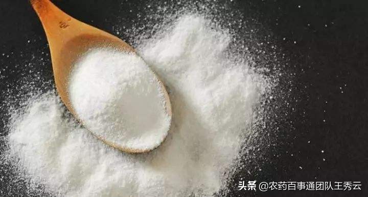 植物生长调节剂24d的使用说明书,植物生长调节剂的正确用法