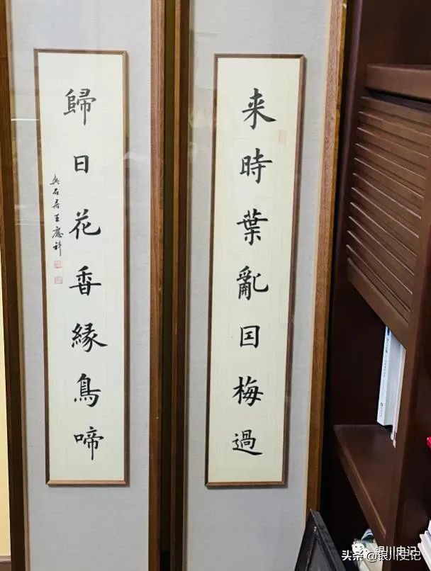 杨燕：我的书房为啥叫“晤园”