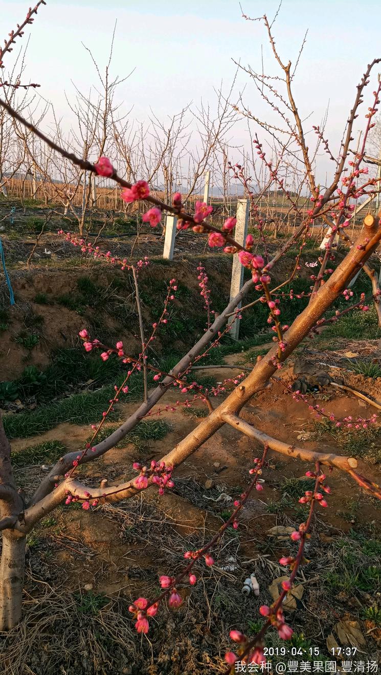 诗和远方在身边完整版,诗和远方在身边