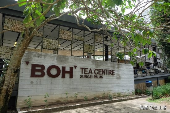 马来西亚国民奶茶品牌,马来西亚传统国民零食品牌叻歌派