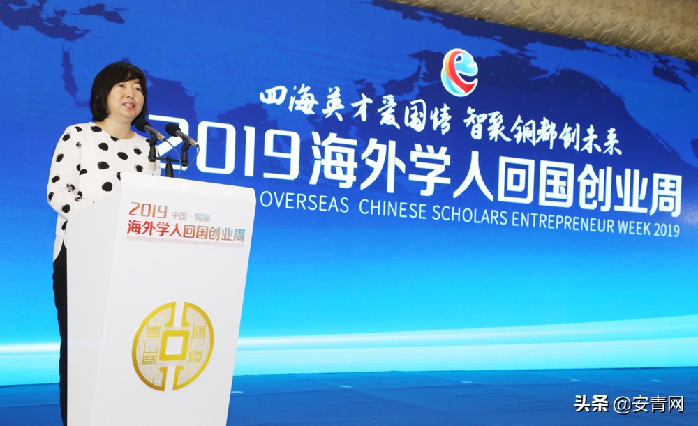 铜陵海外学人回国创业,2019海外创业周