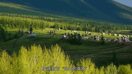 为了回报湖北人，这个身价8万的*疆新**特产给出亲情价，手慢无！