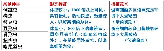 污泥镜检操作方法,污泥检测项目及标准有哪些呢