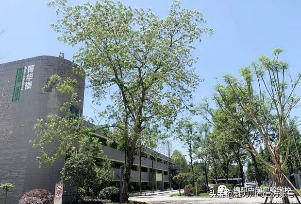 关于绵阳中学实验学校,2020绵阳中学实验学校