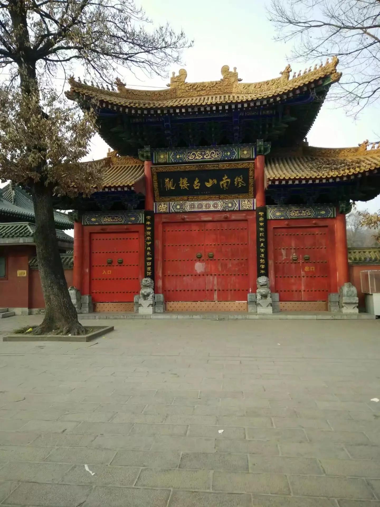 楼观台国家森林公园竹林,楼观台国家森林公园海拔