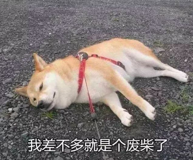 鹿晗易烊千玺,鹿晗易烊千玺街舞