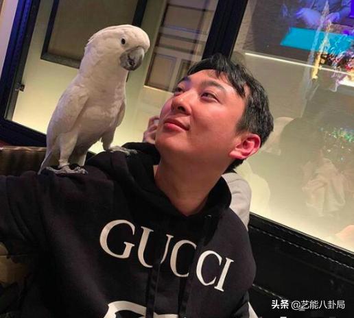 王思聪多少钱买的鸭子,王思聪买的什么鸭