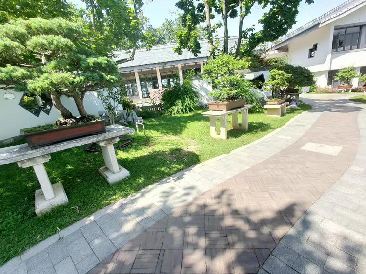 曾作为禁地，与外界隔绝二百六十多年的“玄武湖”，今日锣鼓喧天