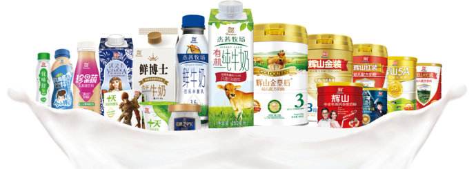 辽宁省首富杨凯,辽宁首富杨凯个人资料