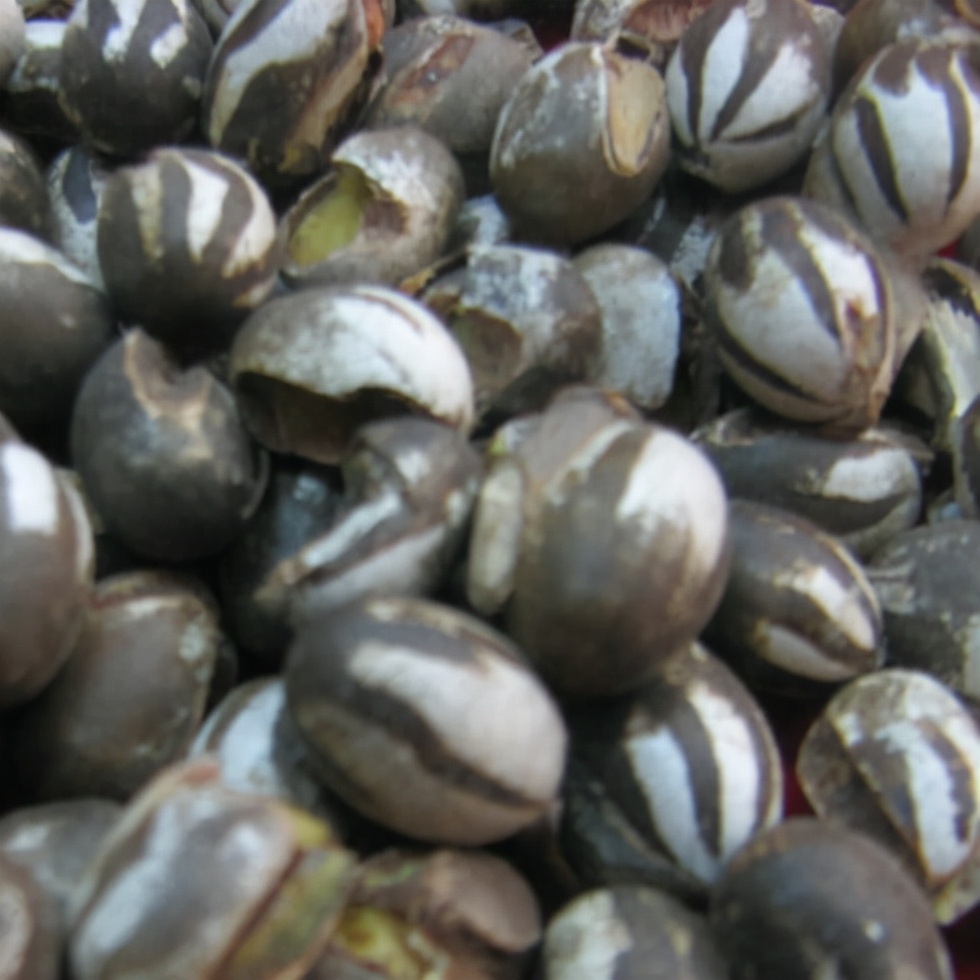 黑龙江往事：大爷和他的尿罐，弥留之际，堂叔说让他再打一针吧