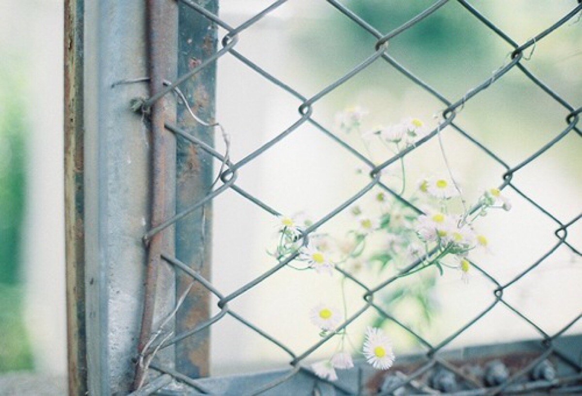 疫情中的小感动就在你我身边,疫情中的温暖小短片校园