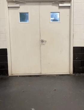 我家狗子被日托所开除了，哈哈哈哈哈笑喷了