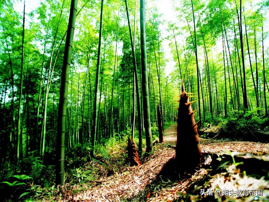 二年级下册语文课堂笔记重点考点,二年级下册语文园地必背考点