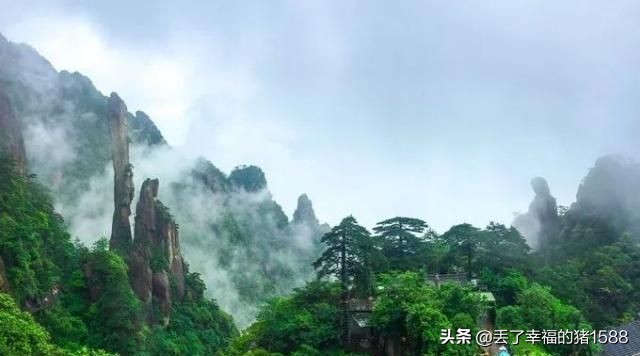 三清山一日游多少钱,三清山金沙索道上一日游攻略