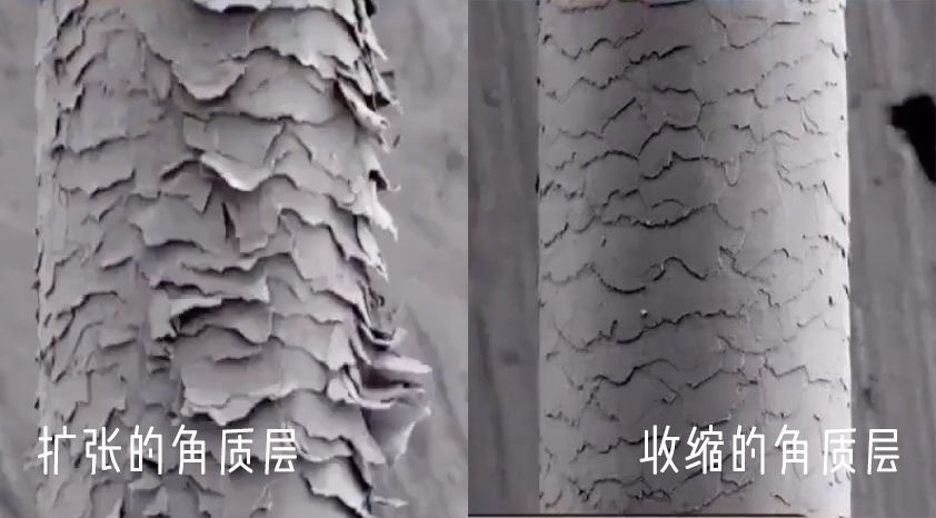 再也不用担心托尼老师的发型,那些年被托尼老师坑的发型