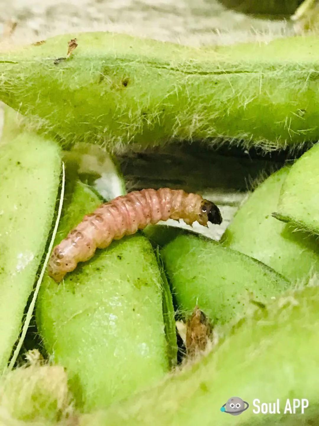 生命的缘分上海视频,生命中的遇见是缘分