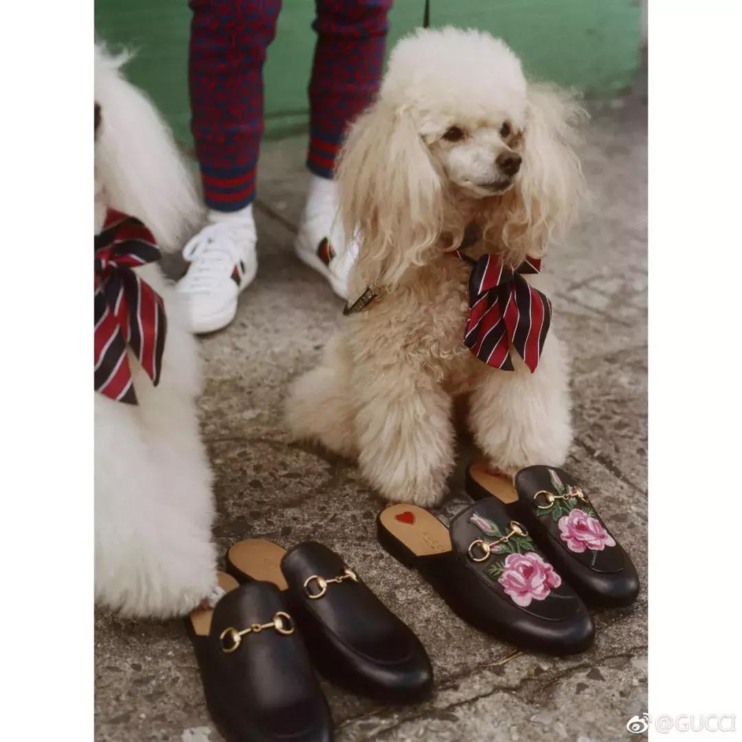 520要送什么礼物最好呢,520到底送什么才最浪漫