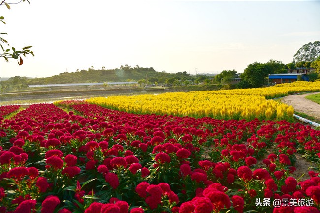 花都区美林湖度假区,花都美林湖风景
