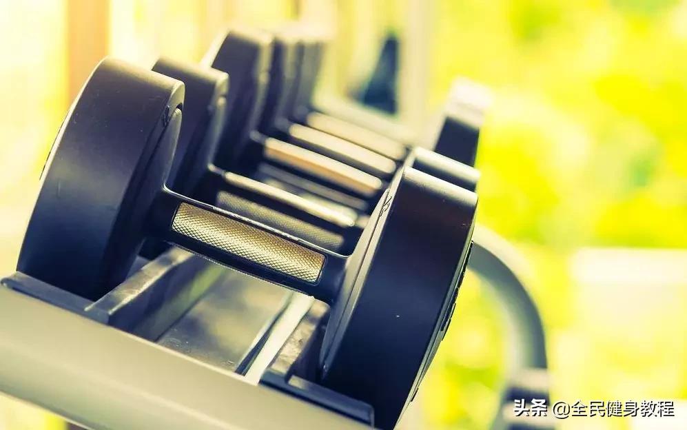 健身器械品牌十大排行榜,健身器械排行前十名