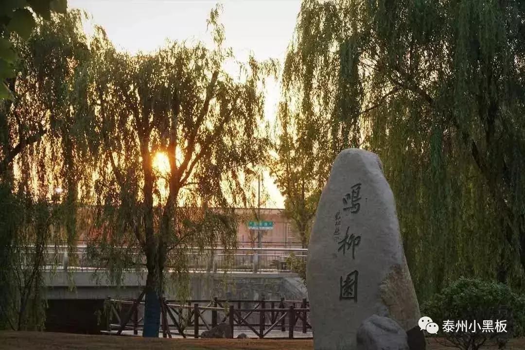 泰州高校—这份来自泰职院的专属说明书,你值得拥有