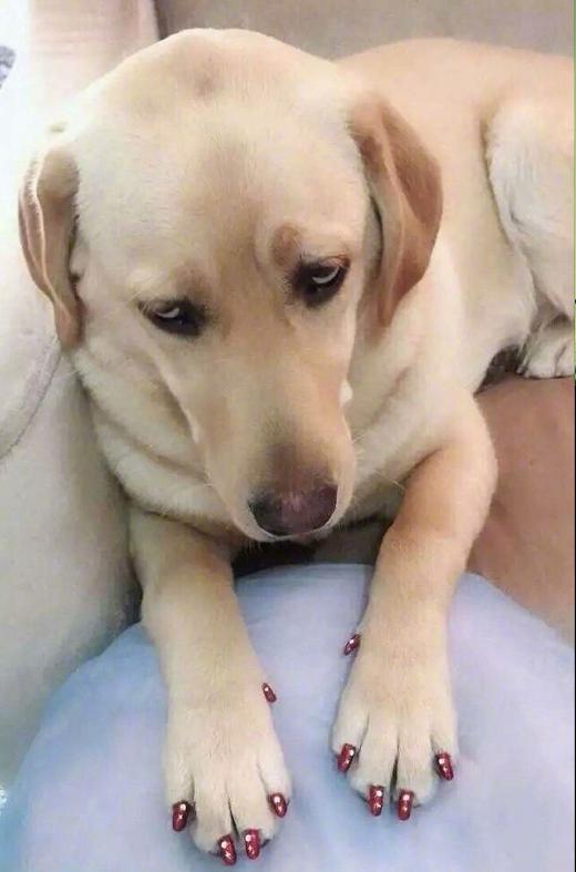 “你们女孩子脱完鞋都这样的嘛？”哈哈哈没想到拖鞋也是一门技术