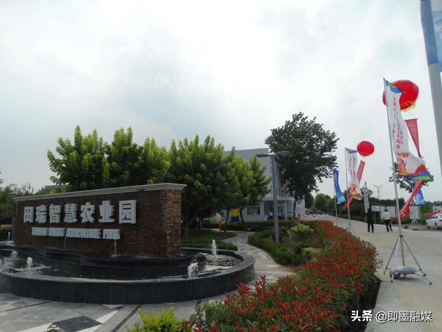 一栋5万只蛋鸡舍建设,一栋鸡舍养多少蛋鸡