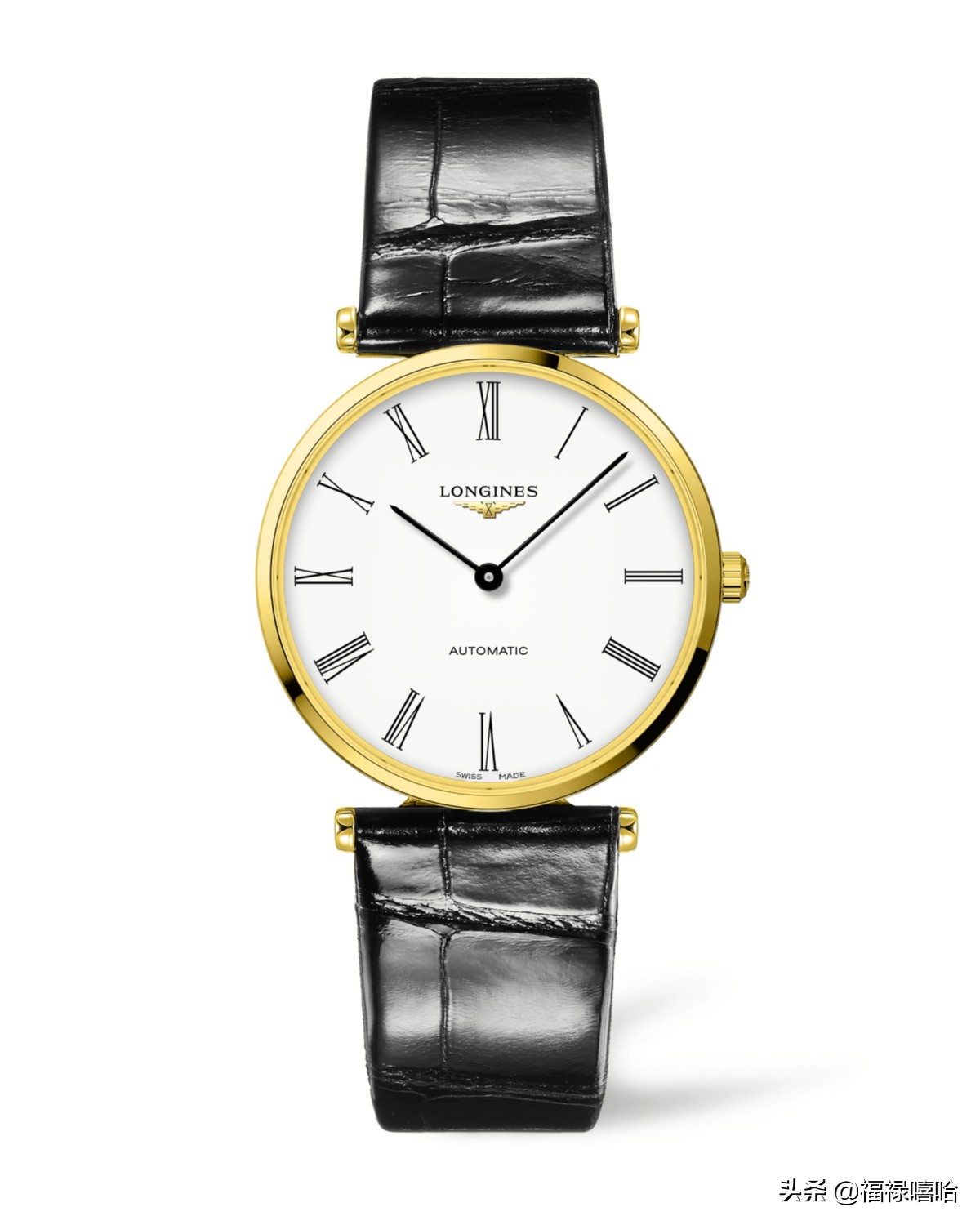 楂樻俯涓嶅噺鐑儏,瑗垮弻鐗堢撼娴惔