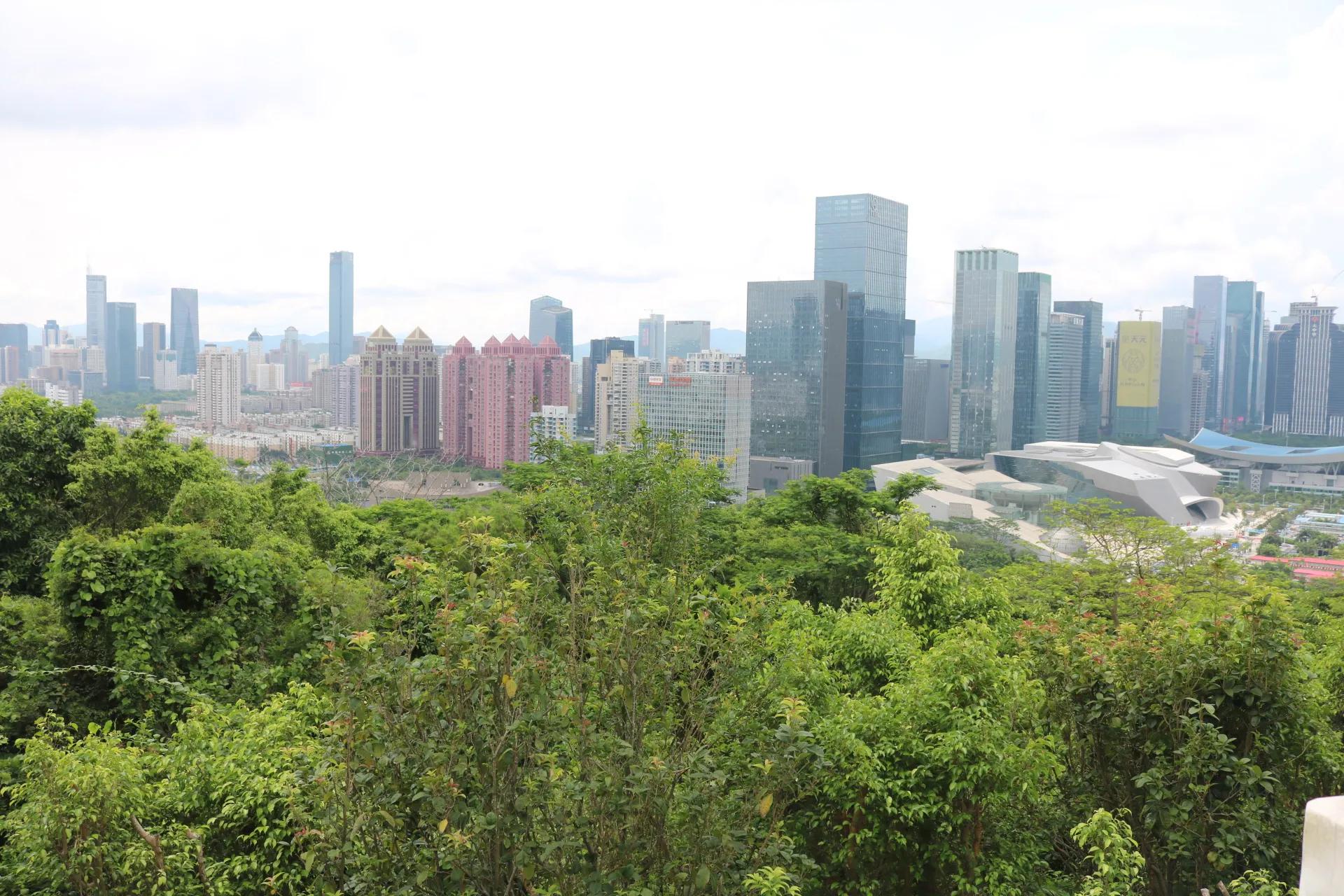 来深圳必去的地方旅游攻略,深圳景点免费开放最新