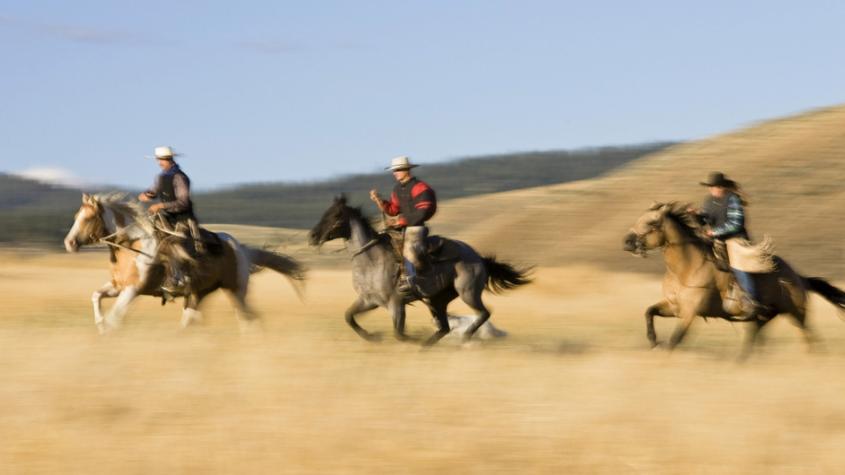斑马斑马你不要睡着啦什么意思,斑马斑马你不要睡着啦是什么意思