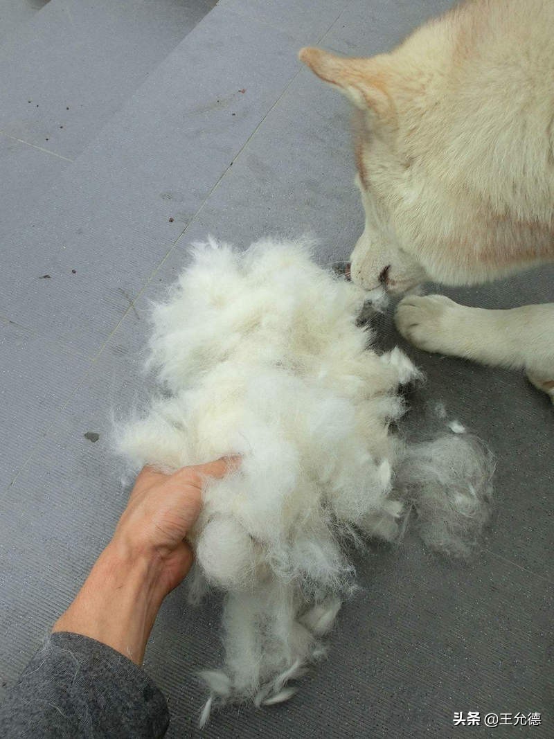 围巾掉毛很严重怎么办,毛绒围巾掉毛的处理方法